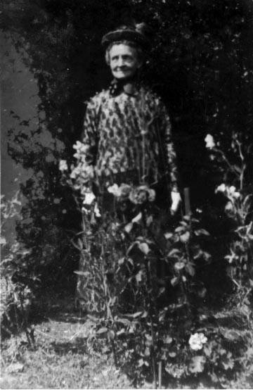 Amelia